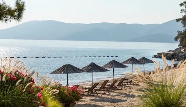 Bardakçı Bay